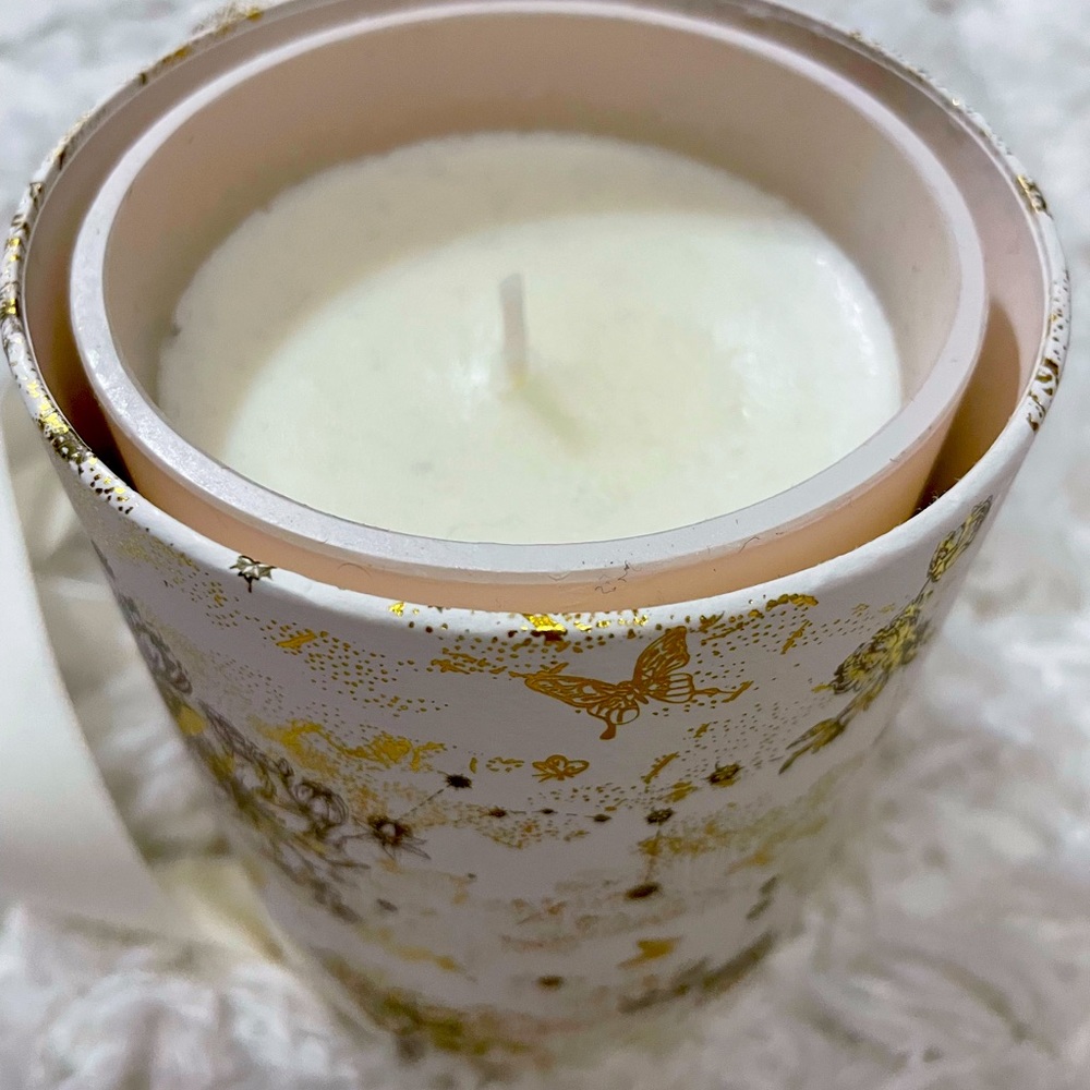 Christian Dior Toile De Jouy large candle brand new . 10.5 oz LAST CALL !